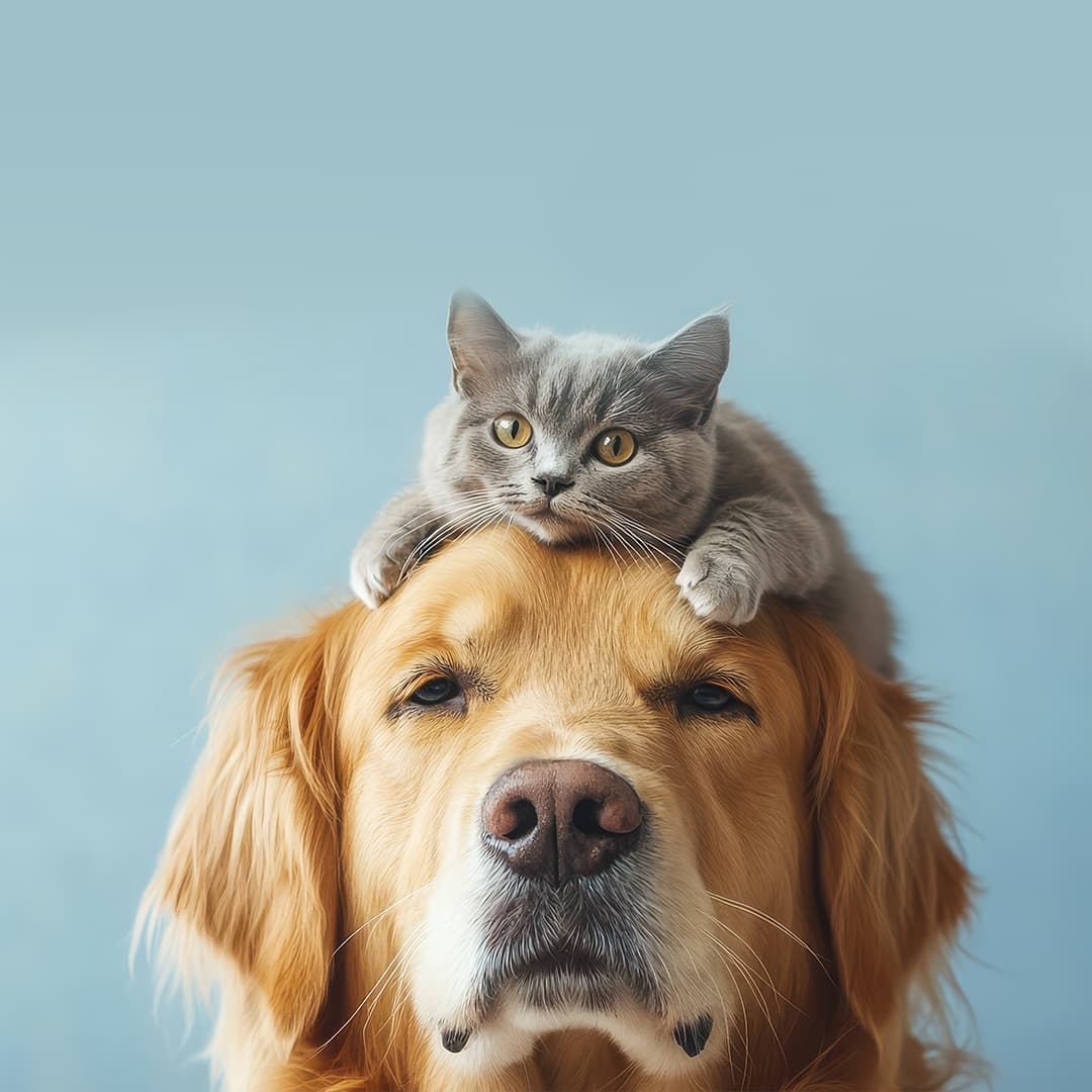 Pet products market investment APAC