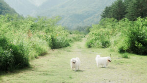 Annie’s Pantry officially launched in Japan with New Manufacturing Plant